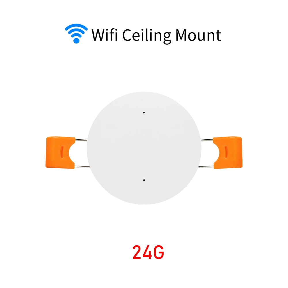 MmWave Human Presence Motion Sensor With Luminance/Distance Detection